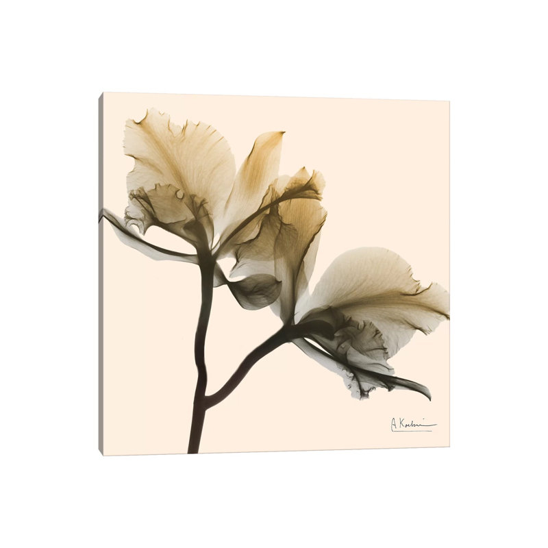 Neutral Twins I by Albert Koetsier - Wrapped Canvas Print, 30.48 cm H x 30.48 cm W