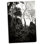 " Ancient Ta Prohm I " by Erin Berzel
