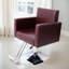 Fauteuil de coiffeur Professional Professional