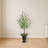Eucalyptus Artificial Tree in Charcoal Urn
