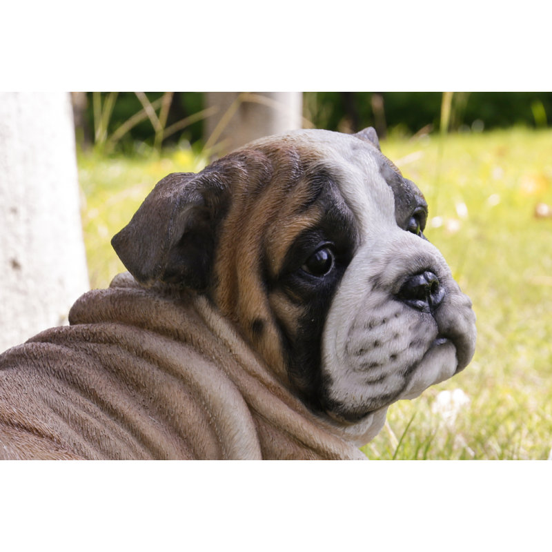 Chiot bouledogue couché
