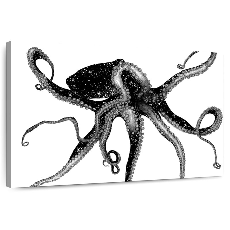 Brampt Cosmic Octopus, 30" H x 45" W