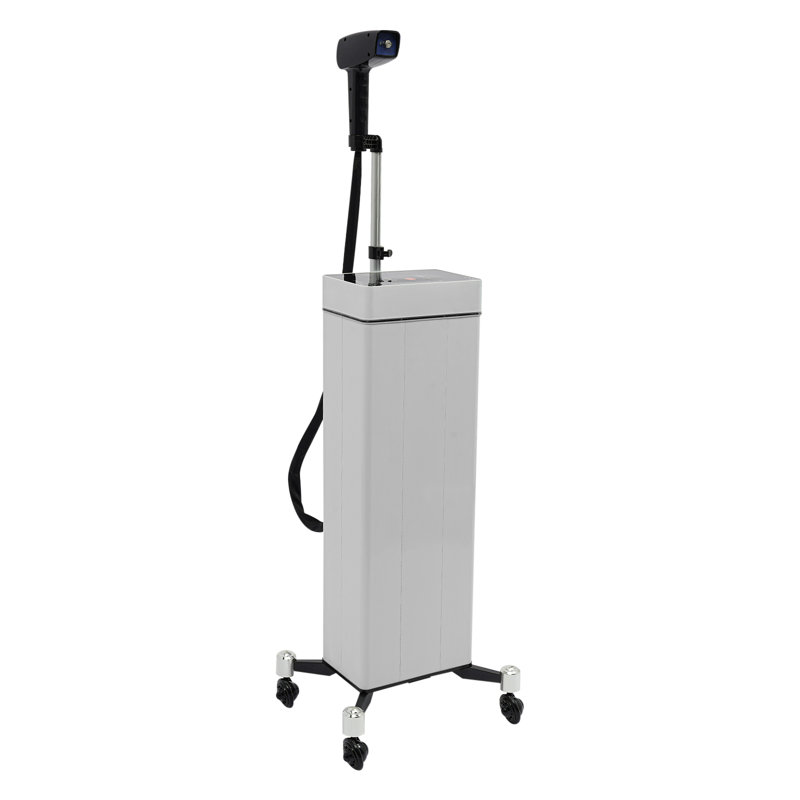 YXSUN 1300 Watt Nano Hair Steamer, White