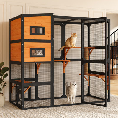 Catio d'extérieur en bois résistant aux intempéries pour plusieurs chats avec boîte de repos et plateforme