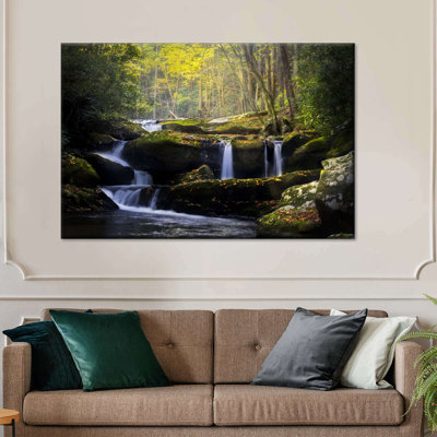 " Stream In The Smokies Canvas Print "
