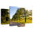 Alvord Bunny Roadside Trees-108819676