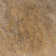 Tuscany Scabas 18" x 18" Travertine Field Tile