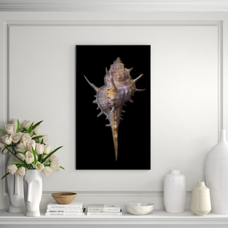 Shell Study II Print by Harold Davis, Glass Coat