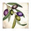 Art sur toile, branche bolognaise, olive-104105689
