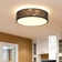 Deontee 14.96'' Linen Dimmable Flush Mount Lighting with Remote and APP