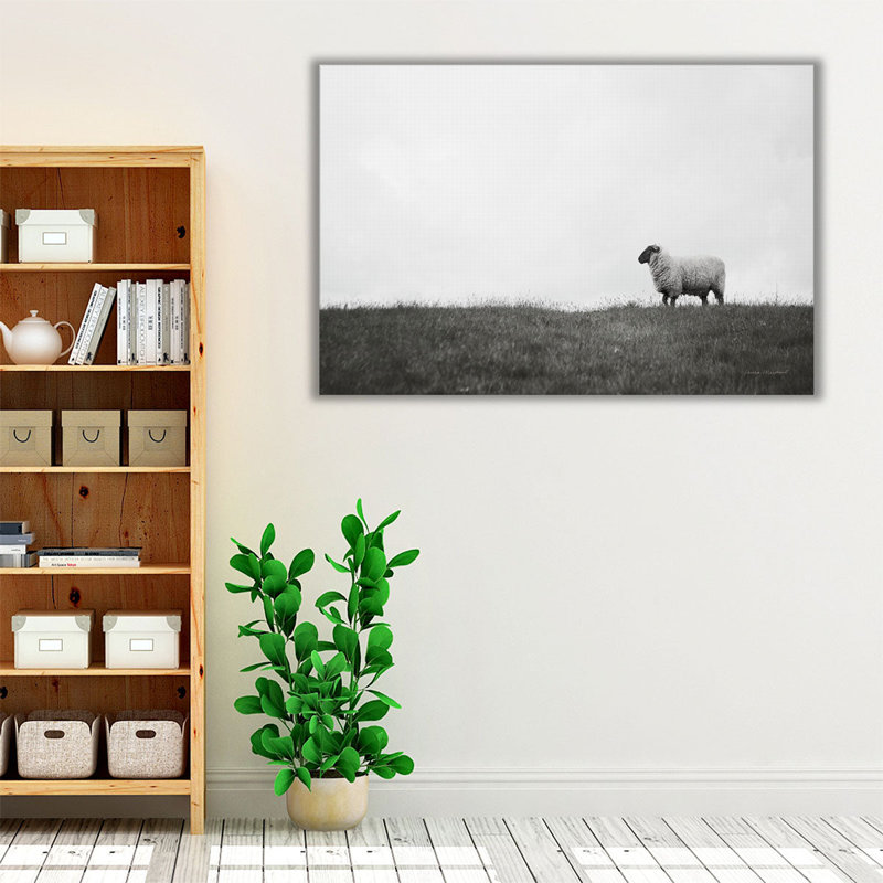 Islay Sheep II - Canvas Print Wall Art, 20" H x 30" W