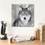 «Epic Graffiti» «Wolf» par Photoinc Studio, art mural sur toile, 18 po x 18 po