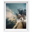 Golden Sunbeams II Shadowbox Floral & Botanical Print by Oliver Gal, Black Frame, 16 x 20-251692549-251692551