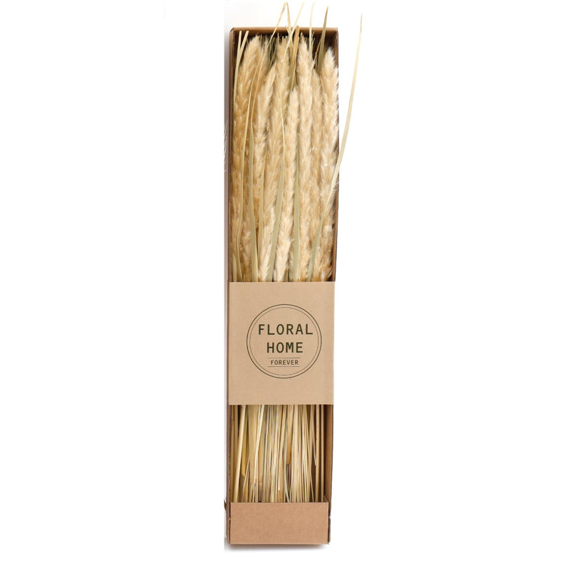 Natural Fibres Dried Pampas Arrangement