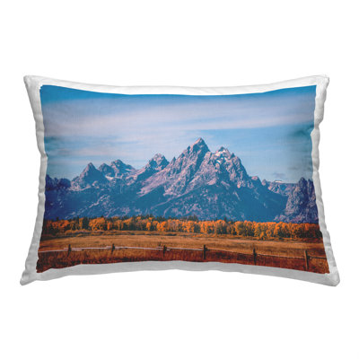 Throw Pillow