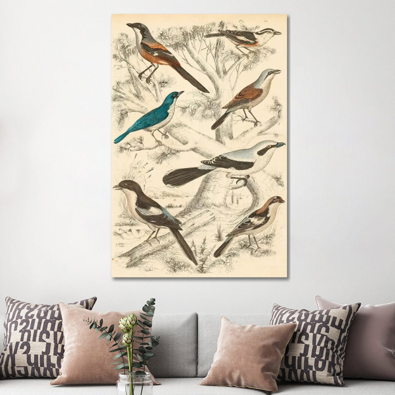 Avian Habitat V by Milne - Wrapped Canvas Print, 152.5 cm H x 101.5 cm W