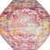 Robinne Oriental Indoor Rug