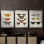 «Vintage Butterflies IV» - Toile tendue avec châssis sur mesure - 3 pièces-117230765-117230769