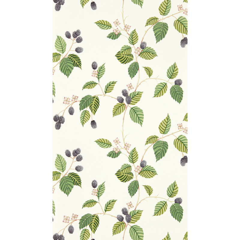 Rubus Wallpaper, Blackberry