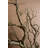  Artificial Dead Wood Branch for Home Decor – Faux Rustic Decorative Stem, 31"