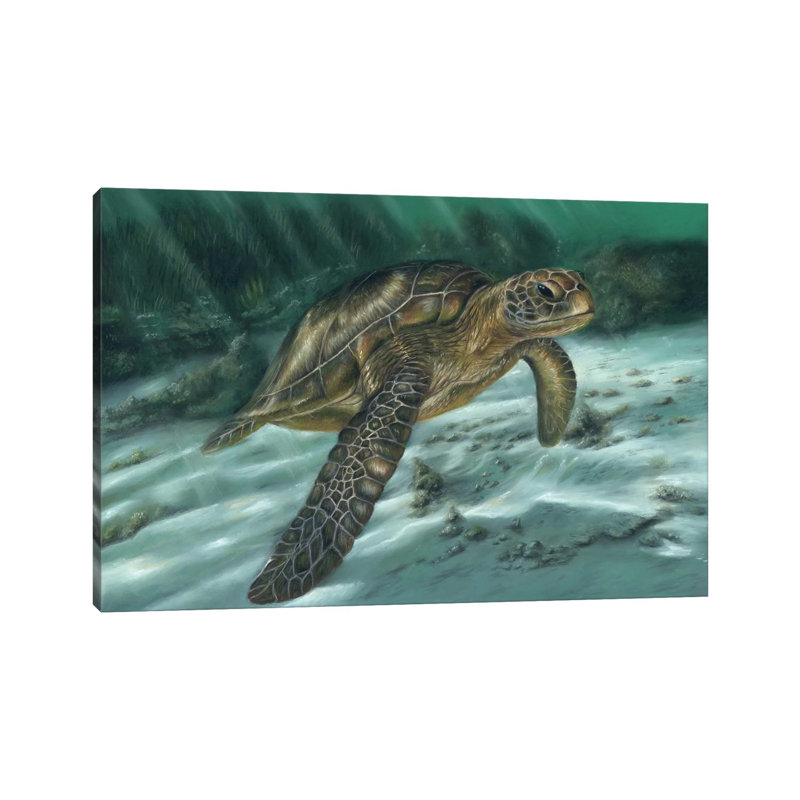 Sea Turtle by Richard Macwee - Wrapped Canvas Gallery-Wrapped Canvas Giclée, 101.6 cm H x 66.04 cm W x 1.91 cm D