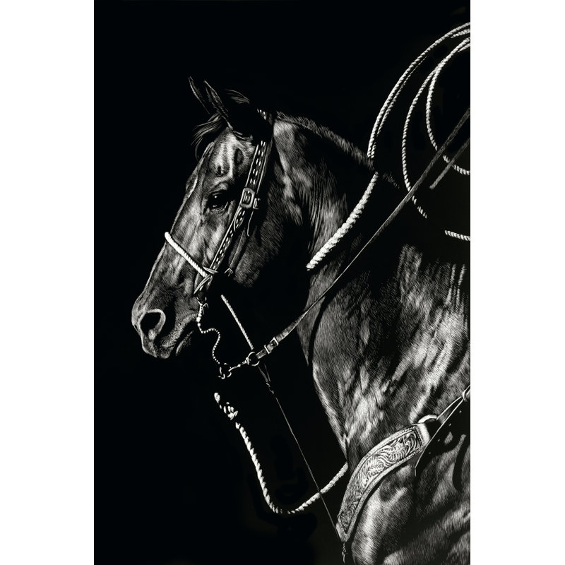 Scratchboard Rodeo V - Wrapped Canvas Print, 76cm H x 51cm W x 3.8cm D