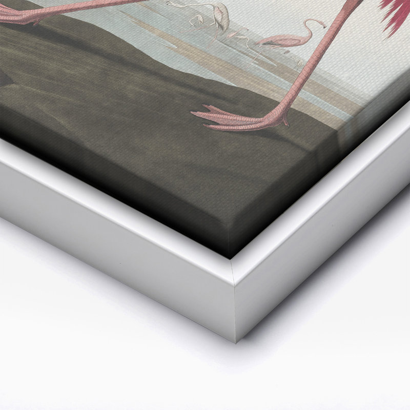 James Audubon - Flamant américain, Canevas, H 12 po x l 16 po, Encadrement blanc