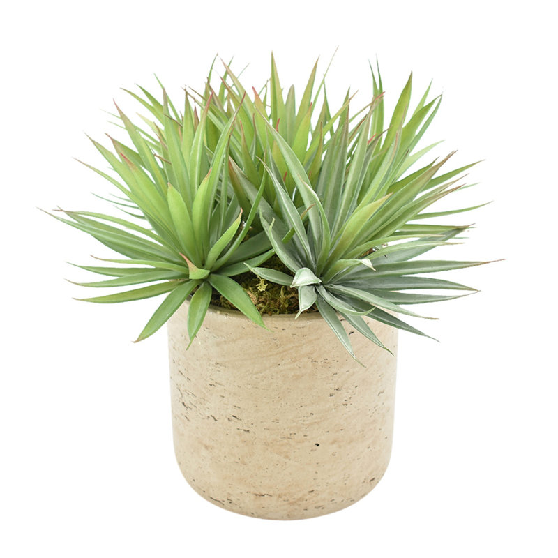 12'' Faux Succulent Plant in Fiberstone Pot