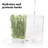 GreenSaver Herb Keeper