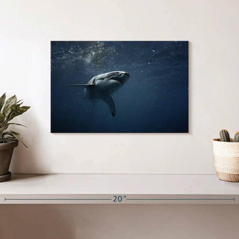Brampt Great White Shark, 8" H x 12" W