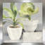 Nature morte - Peinture-810514495-810514494