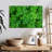 Harnek Green Shamrock Cluster-111840072