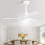 Ventilateur de plafond en bois massif 48 pouces avec moteur à courant continu réversible à intensité variable 6 vitesses-1865024358-1865024355