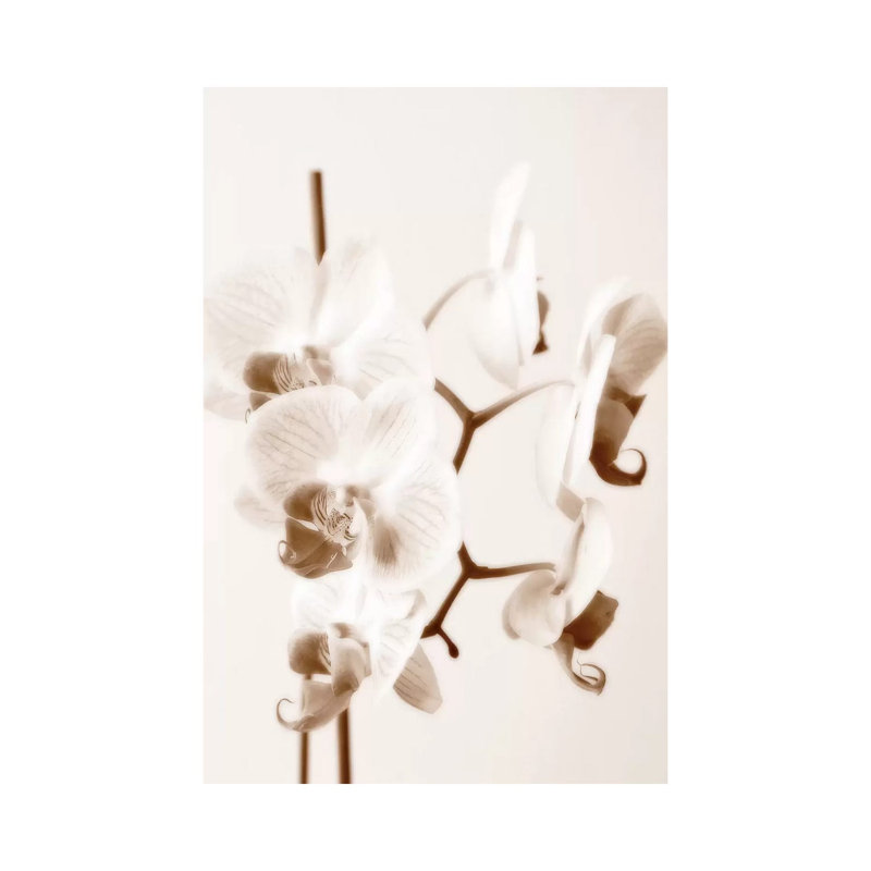 No Boundaries I by Ily Szilagyi - Wrapped Canvas Print, 20.32 cm H x 30.48 cm W