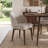 9-Piece Mid-Century Rectangular Extendable Dining Sets-1979952816