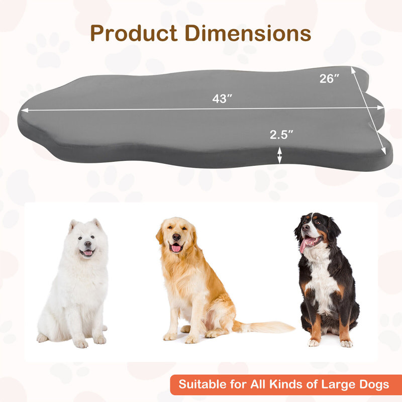 Edil Orthopedic Polyester Pet Bed, Gray