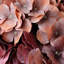 Vases de table en céramique Black Bud