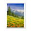 «Blossing Field in the Pine Mountains», peinture sur toile-328260903-328260907
