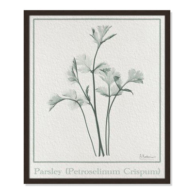 Jeanette "Parsley II" Print by Albert Koetsier