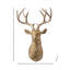 Buste de cerf en résine 30 po 
