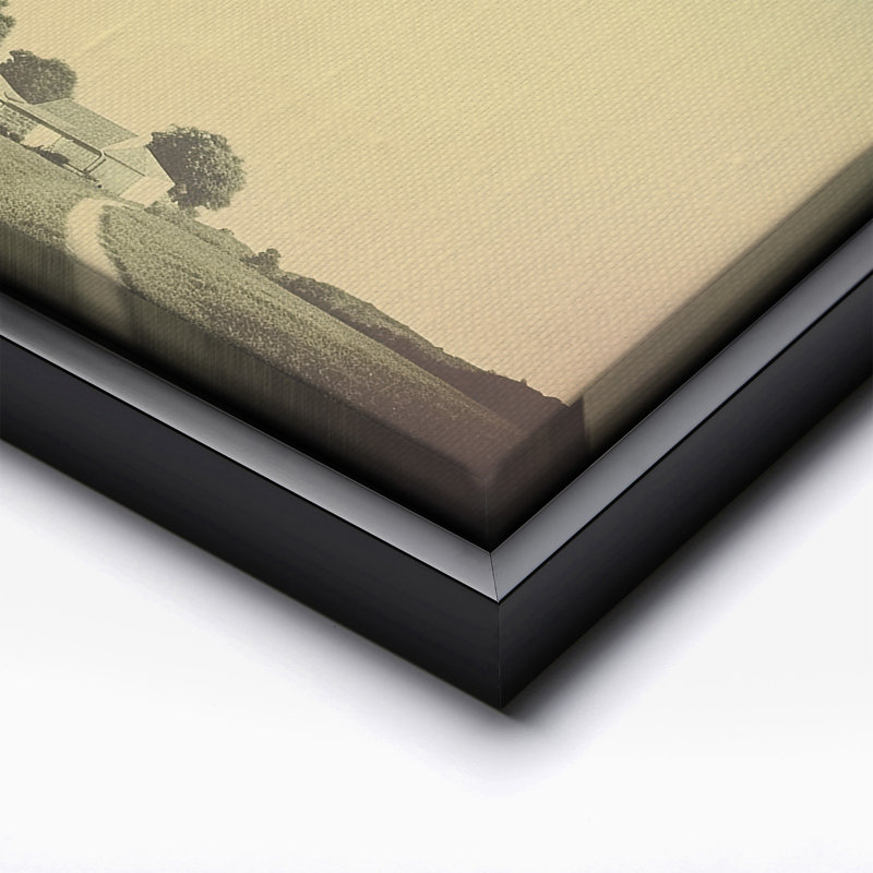 Enlèvement de vache UFO, Black Framed, Canvas, 12"H x 16"W