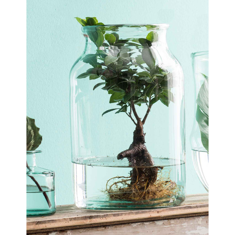 Crank Glass Table Vase
