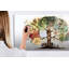 Magnetic Glass Dry Erase Board