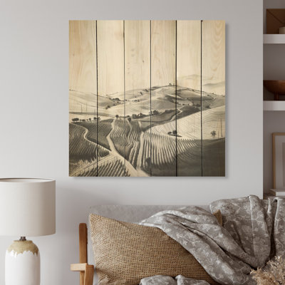 Minimalism Vineyard Photography - Vineyard Wood Panel Wall Art On Natural Pine Wood