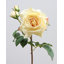 Real Touch Prestige Rose Rouge 22 po-1152958057