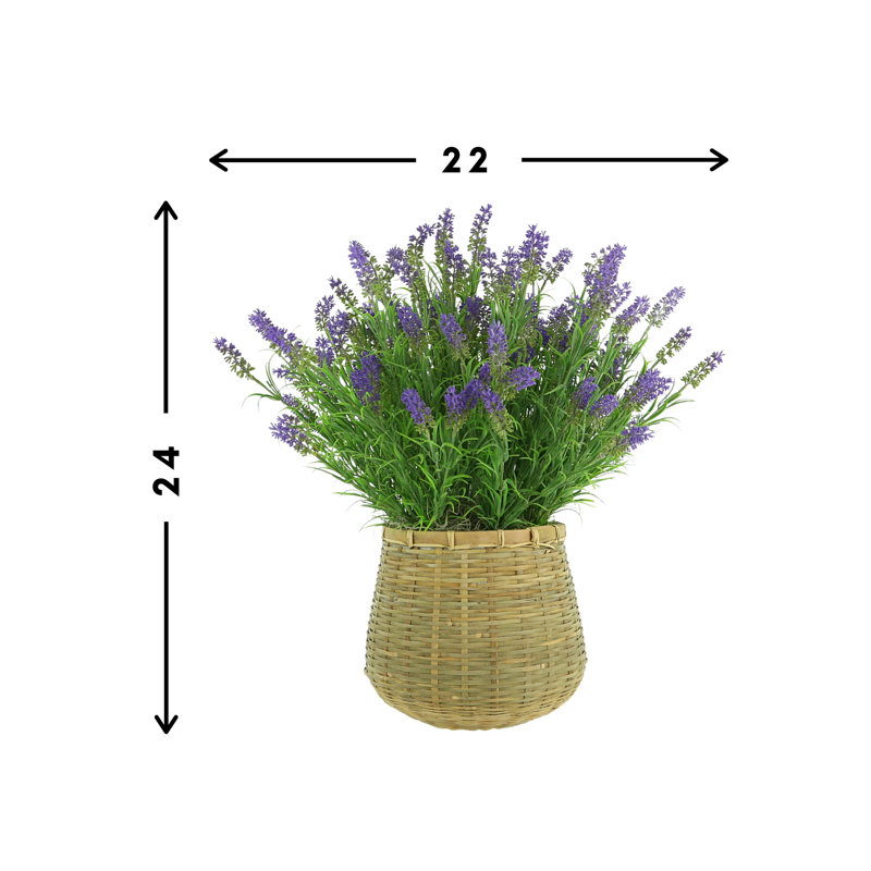 Outdoor UV-Rated Lavender in Basket Planter