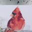 «Cardinal a Hand», reproduction d'art encadrée texturée matte sous verre-1782694917