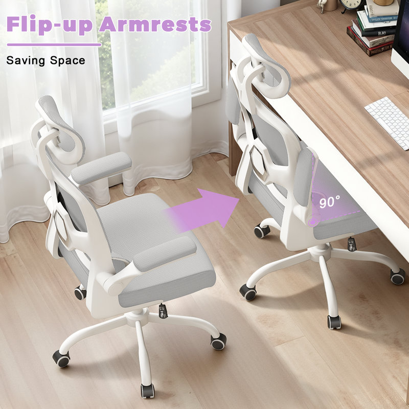 Motonobu Ergonomic Office Chair with Mesh Lumbar Support, Grey, White