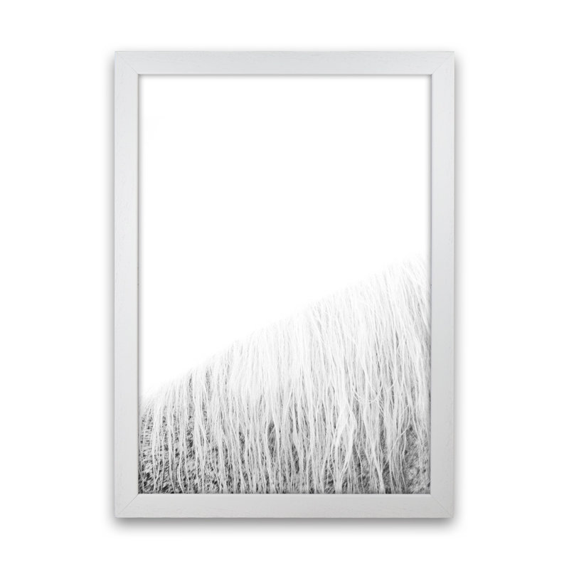 White Horse I 1 Piece Wall Art, 46cm H x 34cm W x 3cm D, White Framed
