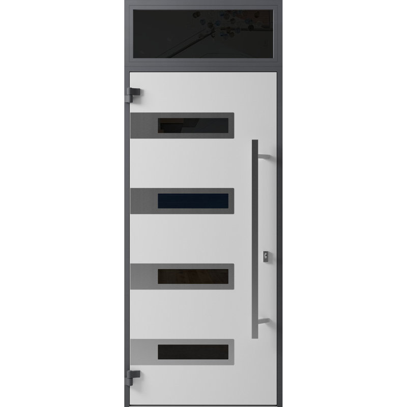 Façade extérieure en acier pré-suspendue / fenêtre extérieure en émail noir / Ronex 0131 avec insert latéral en acier inoxydable / entrée en métal peint moderne l 36 po x H80 + 16 po à gauche